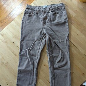Everlane - Original Cheeky Jean - Artist Clay - Size 28